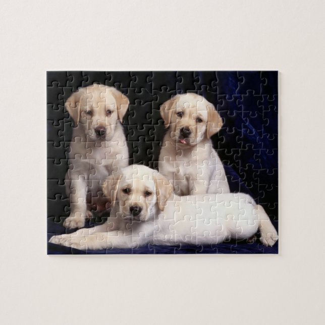 Puzzle de chiots de laboratoire (Horizontal)