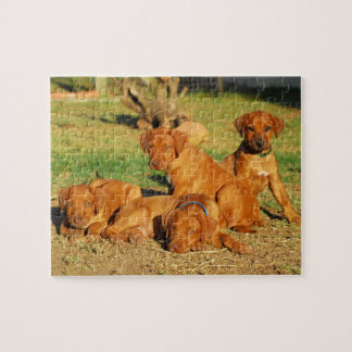 Puzzle de chiots de Rhodesian Ridgeback
