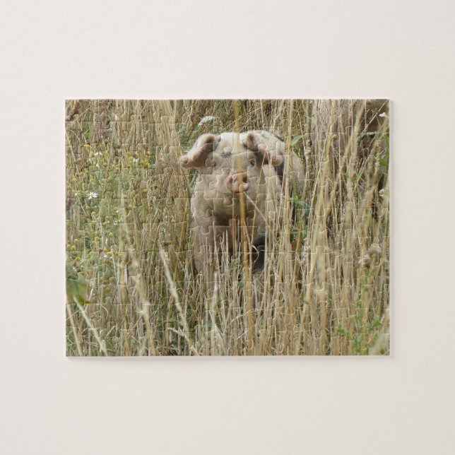 Puzzle de cochon mignon (Horizontal)