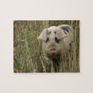 Puzzle de cochon mignon