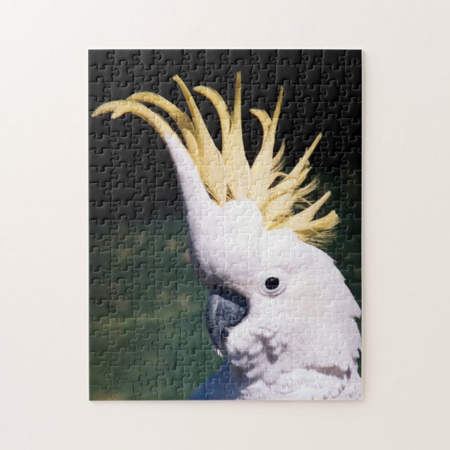 Puzzle de Cockatoo à crête de soufre (Vertical)