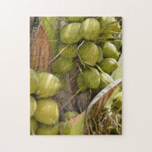 Puzzle de coco