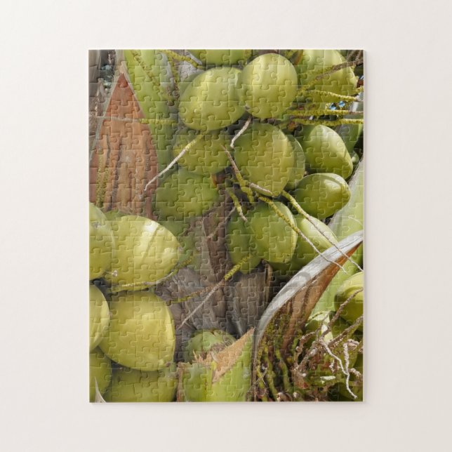 Puzzle de coco (Vertical)