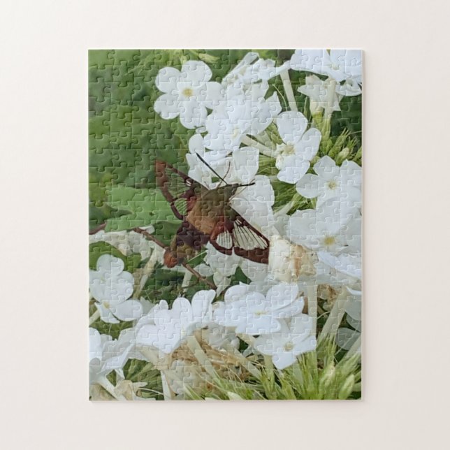 Puzzle de colibris (Vertical)