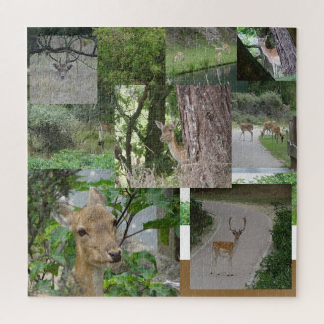 Puzzle de collage : Cerf en jachère (Vertical)