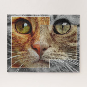 Puzzle de collage de la face du chat mignon
