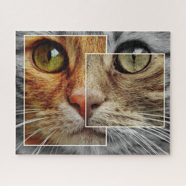 Puzzle de collage de visage de chat mignon (Horizontal)