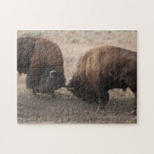 Puzzle de combat de faune de taureaux de bison