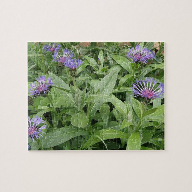 Puzzle de Cornflowers (Horizontal)