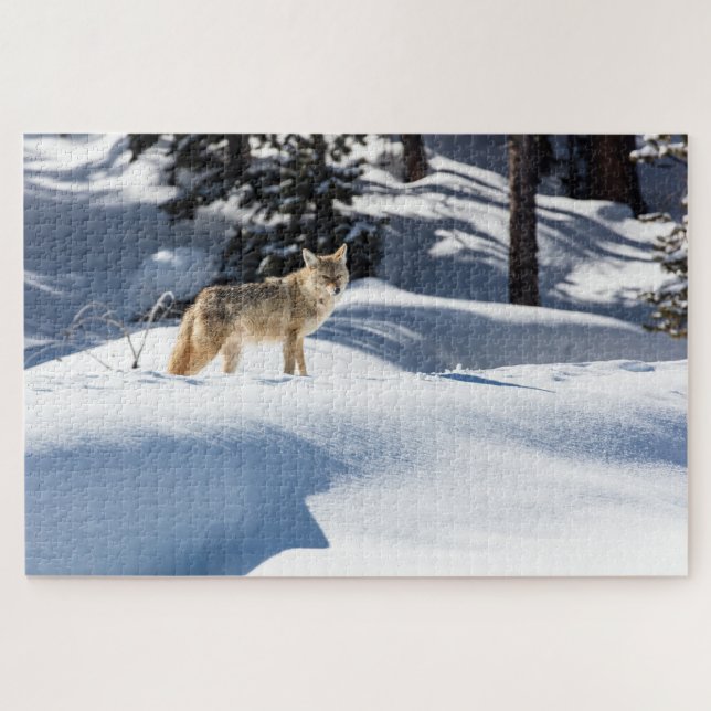 Puzzle de Coyote Hiver Animaux Sauvages (Horizontal)