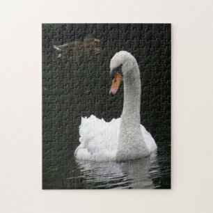 Puzzle de cygne blanc