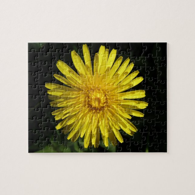 Puzzle de Dandelion (Horizontal)