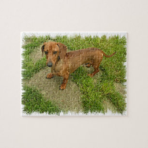 Puzzle de Daschund