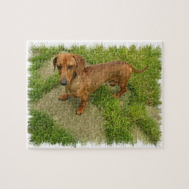 Puzzle de Daschund (Horizontal)