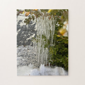 Puzzle De délicieuses glaces accrochées à un buisson