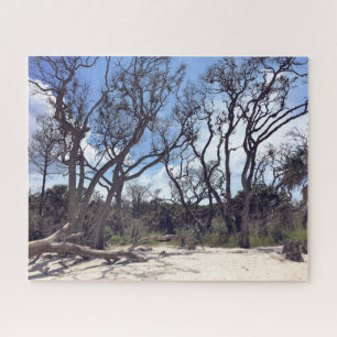 Puzzle de Driftwood Beach