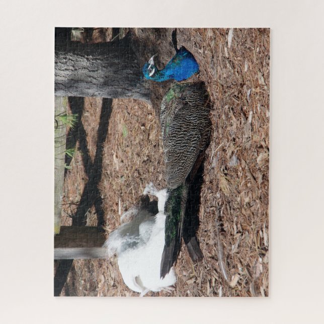 Puzzle de faisans indiens bleus et blancs (Vertical)