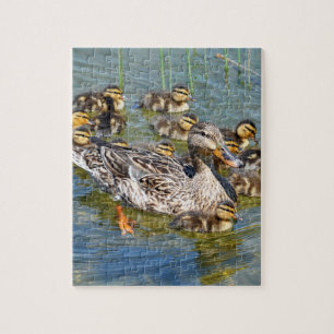 Puzzle de famille de canard