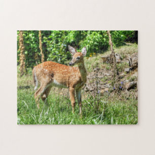 Puzzle de faon