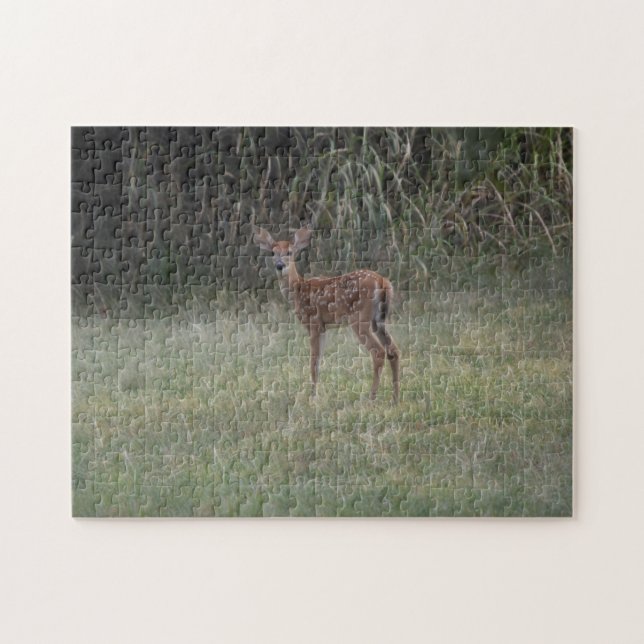 Puzzle de faon de cerf nouveau-né dans un pré (Horizontal)