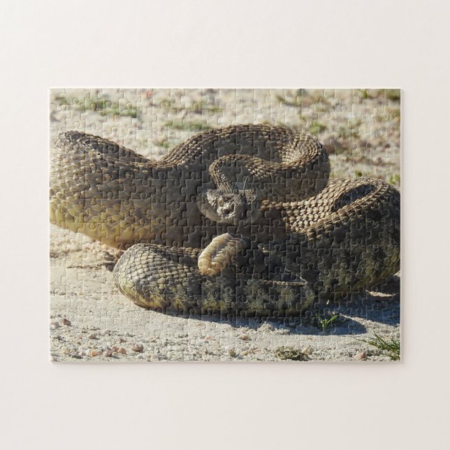 Puzzle de faune, serpents, serpent à sonnettes, (Horizontal)