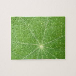 Puzzle de feuilles de Nasturtium