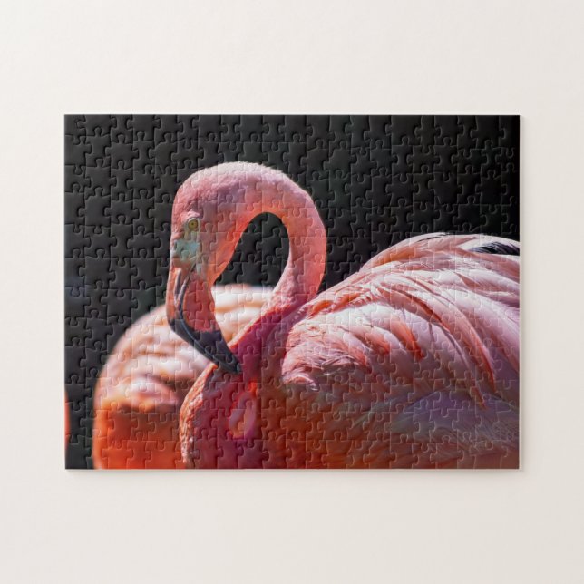 Puzzle de Flamant rose (Horizontal)