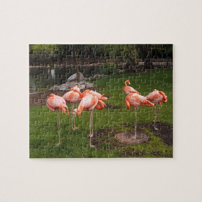 Puzzle de flamants roses (Horizontal)