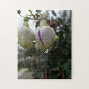 Puzzle de fleur créative bourgeon fuchsia photo