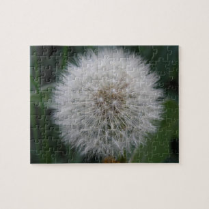 Puzzle de fleur de Dandelion