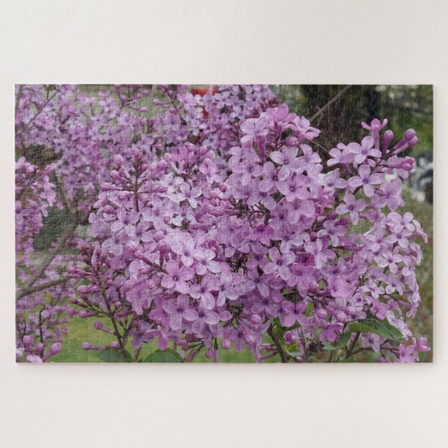 Puzzle de Fleur Rose (Horizontal)