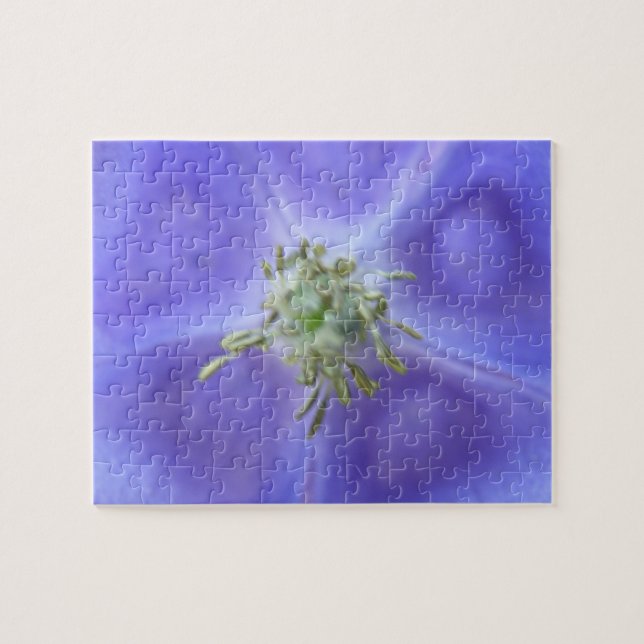 Puzzle de fleurs Aquilegia (Horizontal)