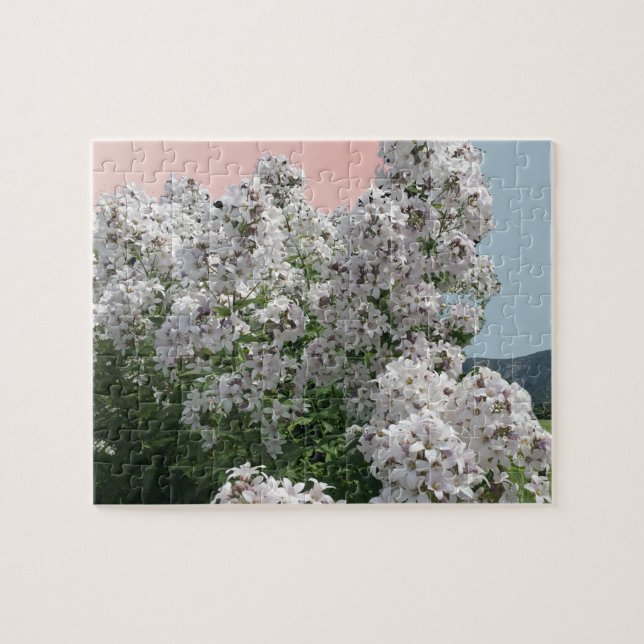 Puzzle de fleurs blanches en fleurs (Horizontal)