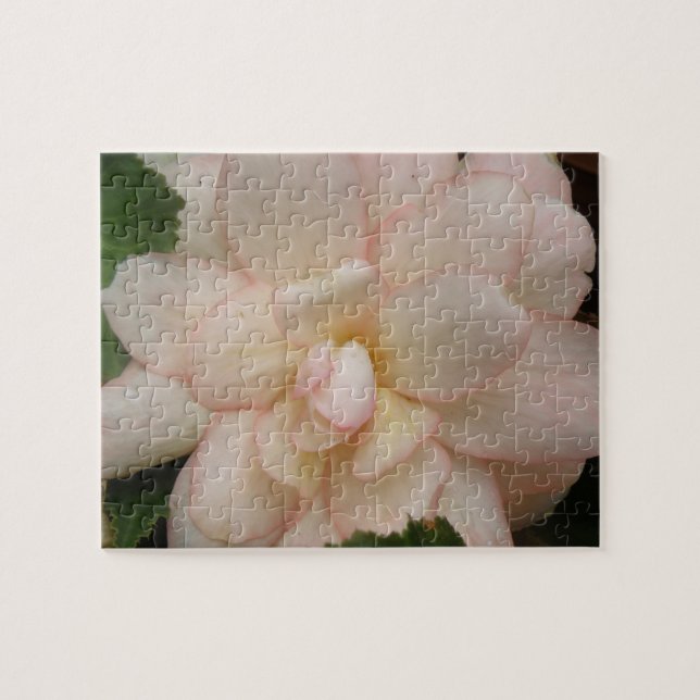 Puzzle de fleurs de Begonia (Horizontal)