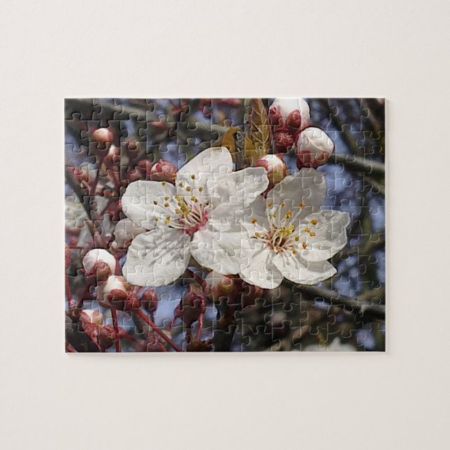 Puzzle de fleurs de cerisier (Horizontal)