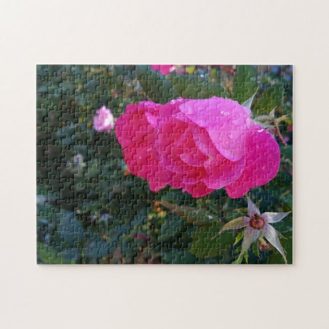 Puzzle de fleurs de roses rouges (Horizontal)