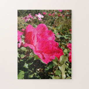 Puzzle de fleurs de roses rouges