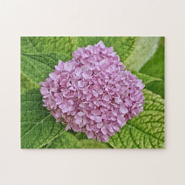 Puzzle de fleurs d'Hydrangée violet et rose (Horizontal)