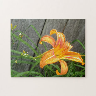 Puzzle de fleurs diurnes orange
