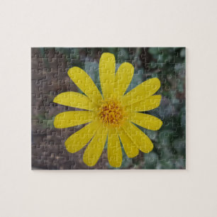 Puzzle de fleurs jaunes