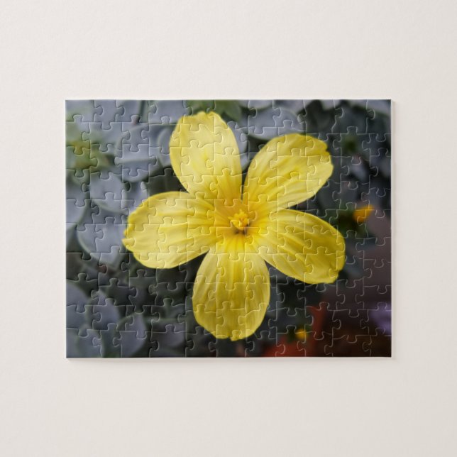 Puzzle de fleurs jaunes (Horizontal)