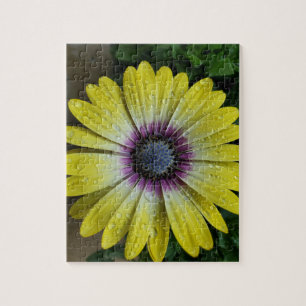 puzzle de fleurs jaunes