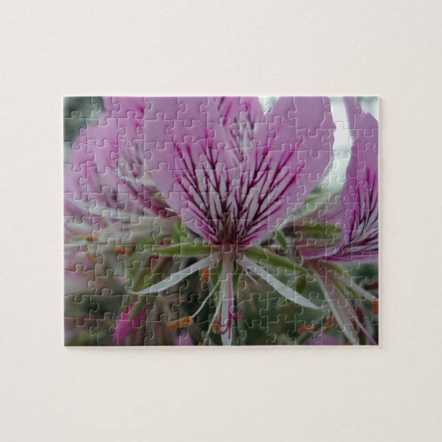 Puzzle de fleurs roses rouges (Horizontal)