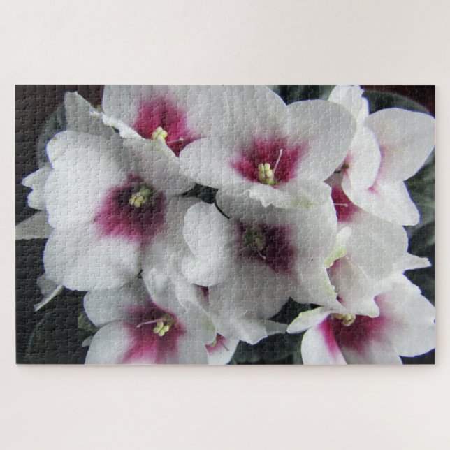 puzzle de fleurs violettes d'afrique rose (Horizontal)