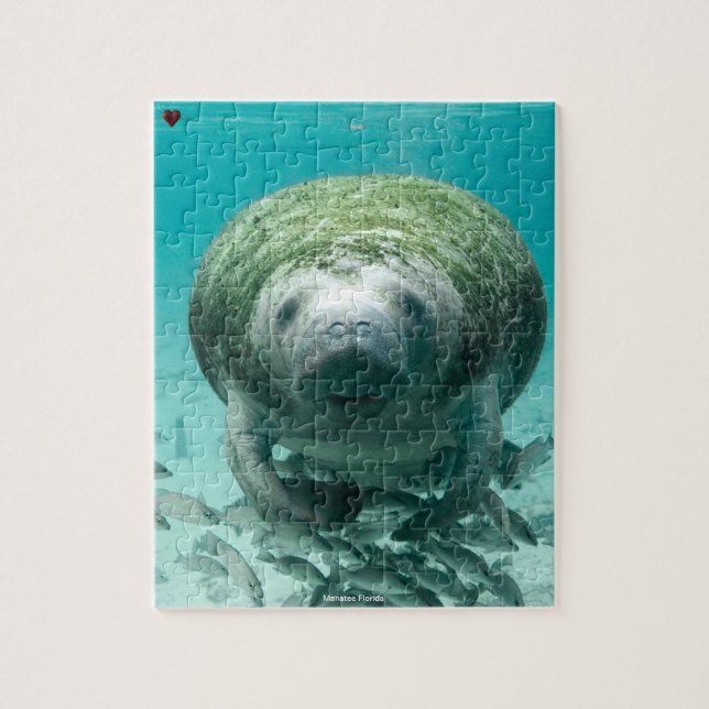 Puzzle de Floride de Manatee (Vertical)