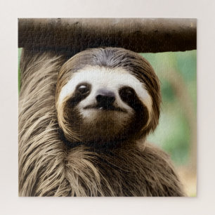 Puzzle de fond de paresseux mignon