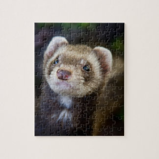 Puzzle de furet