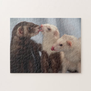 Puzzle de furet - amour de trois amis de furet