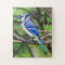 Puzzle de geai bleu