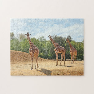 Puzzle de girafes